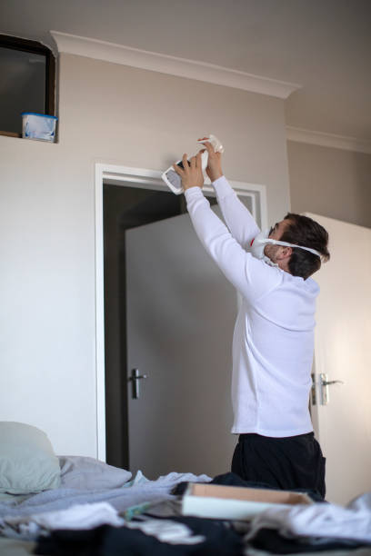 Best Mold Odor Removal Services  in Plainview, NY