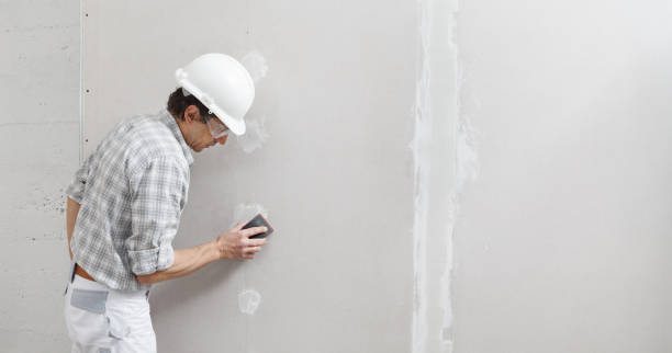 Best Biohazard Mold Removal  in Plainview, NY