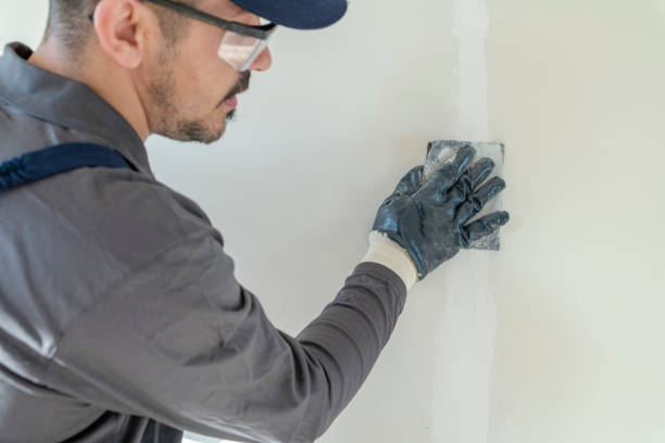 Best Water Damage & Mold Remediation  in Plainview, NY