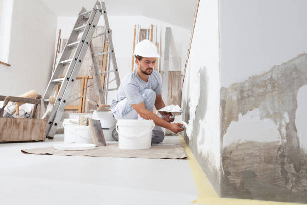 Best HVAC Mold Inspection and Cleaning  in Plainview, NY