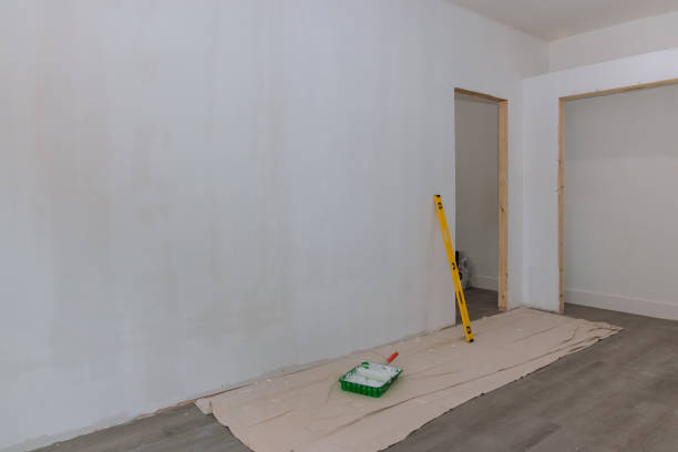 Best Attic Mold Removal  in Plainview, NY