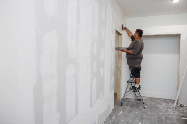 Best Comprehensive Air Testing for Mold Contaminants  in Plainview, NY