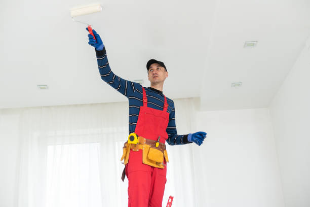 Professional Mold Removal in Plainview, NY