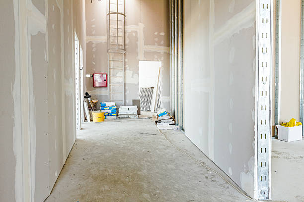 Best Post-Construction Mold Inspection  in Plainview, NY