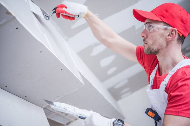 Best Asbestos and Lead Testing During Mold Inspection  in Plainview, NY